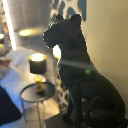 Lägenhet Esprit Africa, Et Sauna De Luxe Mulhouse