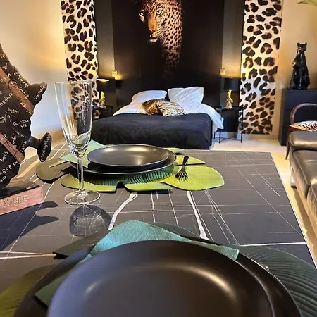 Apartment Esprit Africa, Et Sauna De Luxe Mulhouse